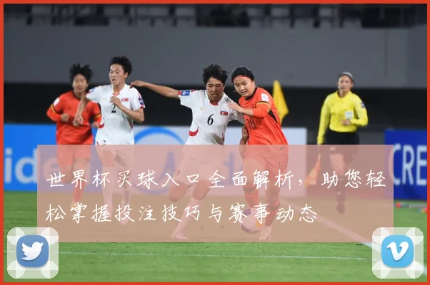 世界杯买球入口全面解析，助您轻松掌握投注技巧与赛事动态