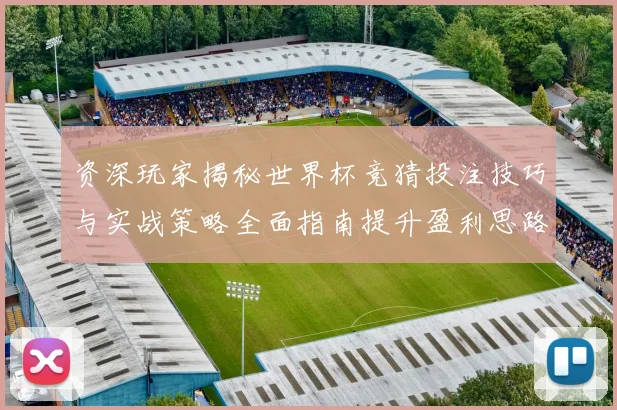 资深玩家揭秘世界杯竞猜投注技巧与实战策略全面指南提升盈利思路