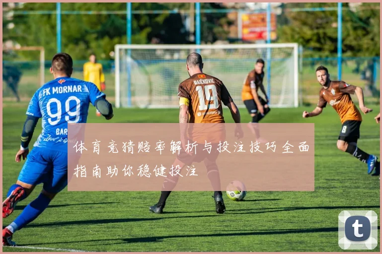 体育竞猜赔率解析与投注技巧全面指南助你稳健投注