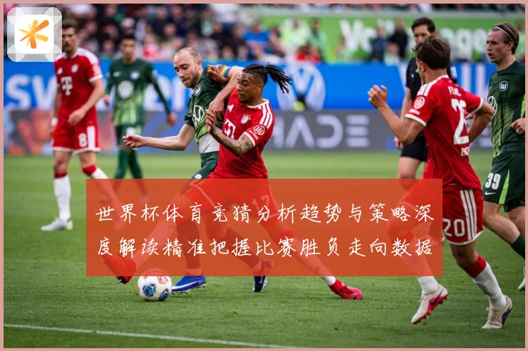 世界杯体育竞猜分析趋势与策略深度解读精准把握比赛胜负走向数据研判