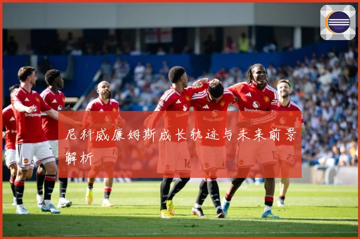 尼科威廉姆斯成长轨迹与未来前景解析