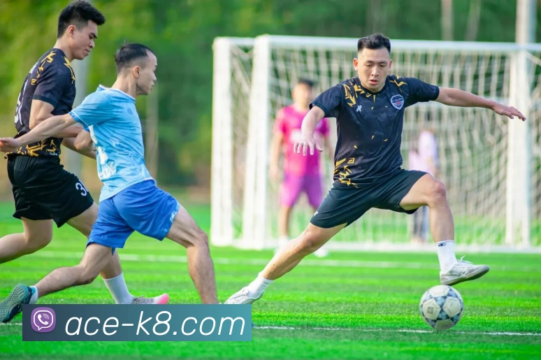 凯发娱乐平台展示图